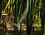Lustgarten,Bambus, div. Materialien, 2010